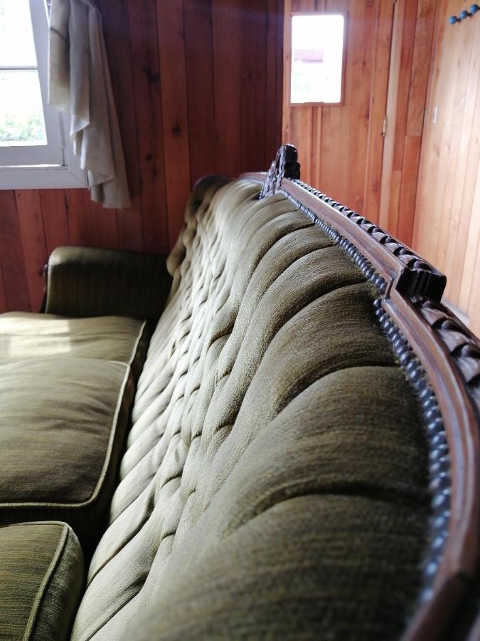 Wesley House Hosteria Boutique San Martín de los Andes Eksteriør billede